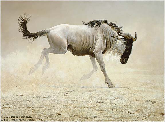 abc02-Wildebeest-painting.jpg