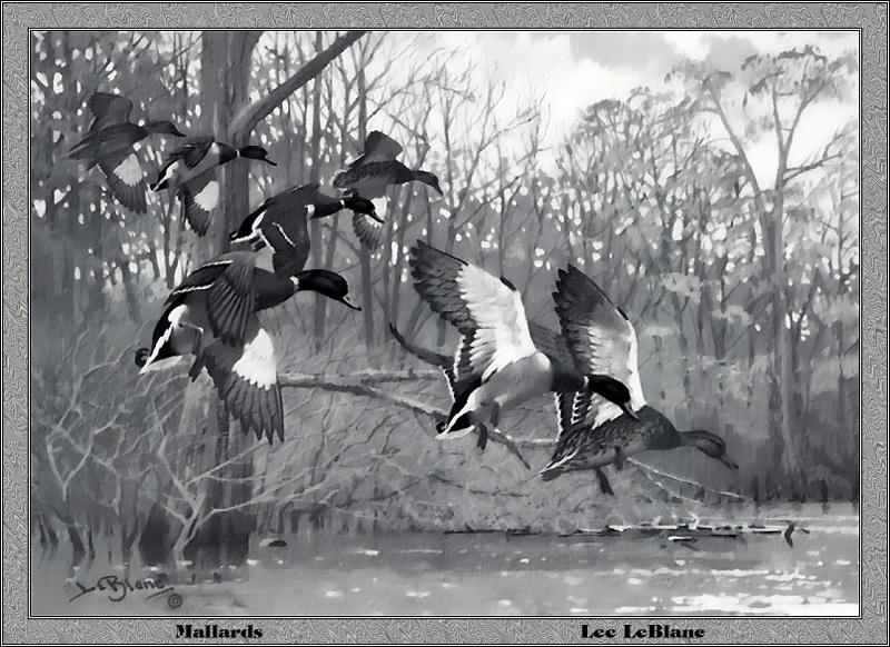 p-ards1981-Mallard Ducks-flight-Painting by Lee LeBlaue.jpg