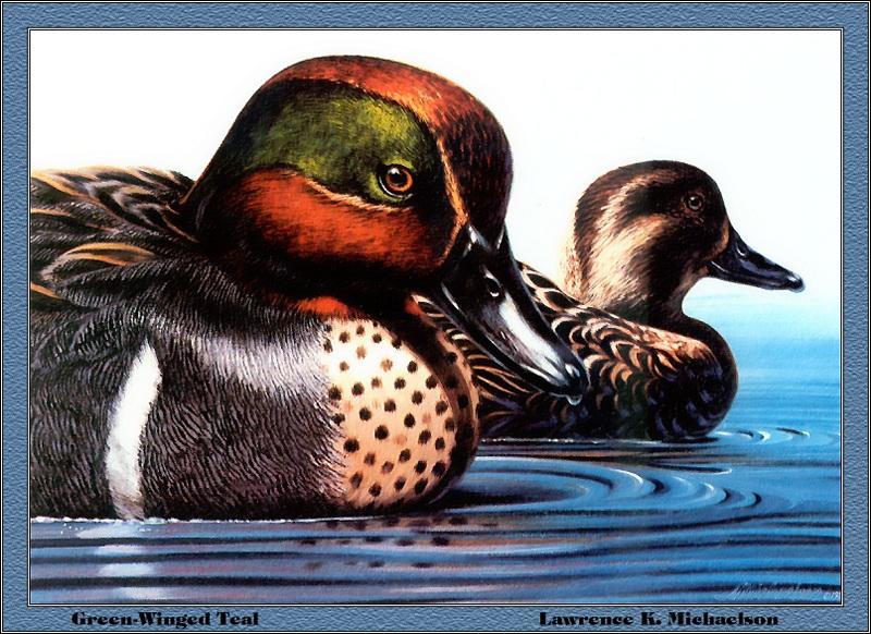 p-fds1979-80-Green-winged Teals-Painting by Lawrence K Michaelson.jpg