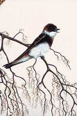 Bird Painting-Cliff Swallow1-singing on branch.jpg