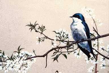 Bird Painting-Tree Swallow 4-perching on bloomed branch.jpg