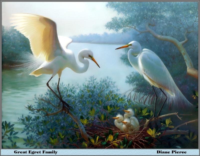 p-bwa-39-Great Egret-family-Painting by Dianne Pierce.jpg