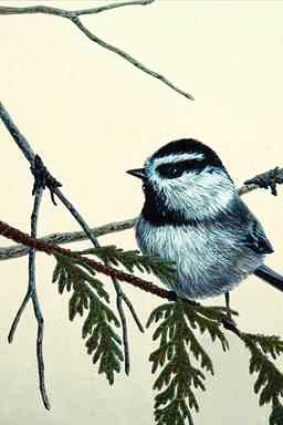 Bird Painting-Chickadee1-perching on branch.jpg