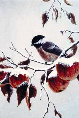 Bird Painting-Chickadee2-on snow apple tree.jpg
