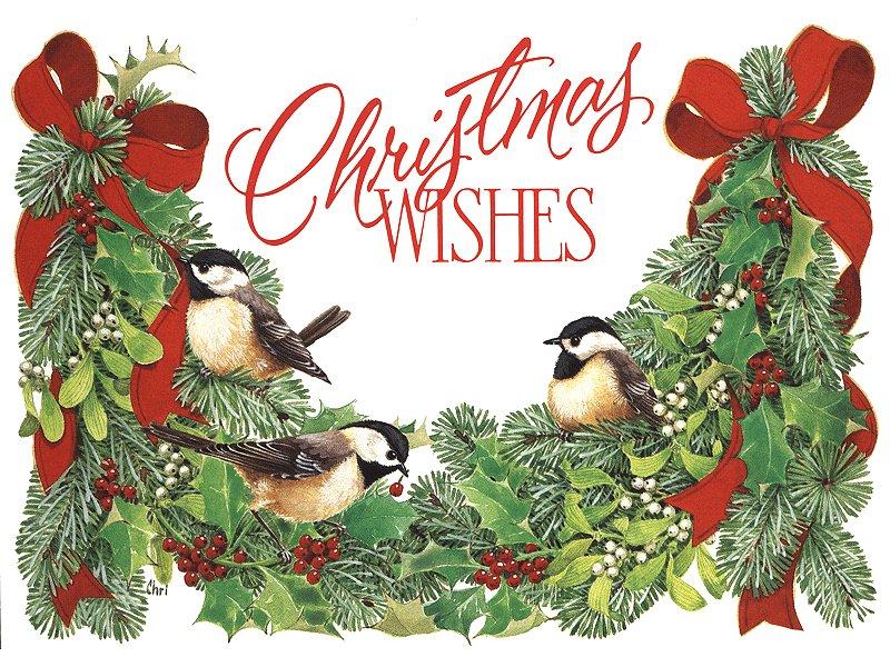 Christmas Card 06-birds in pine graylady.jpg