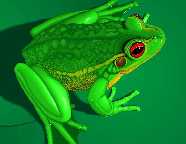 Frog-Red-eyed Treefrog-computer graphics.JPG