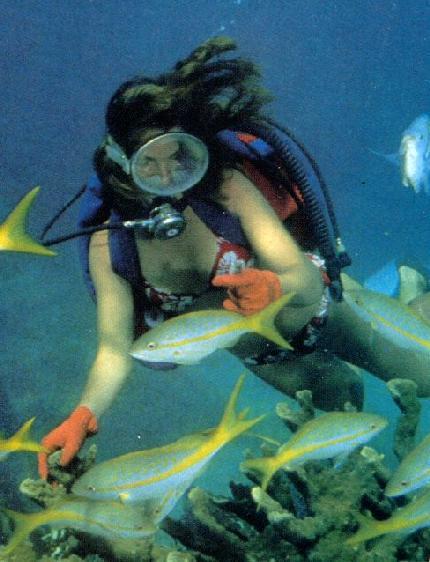 alb10035-Yellowtail Snappers-with scuba diver girl.jpg