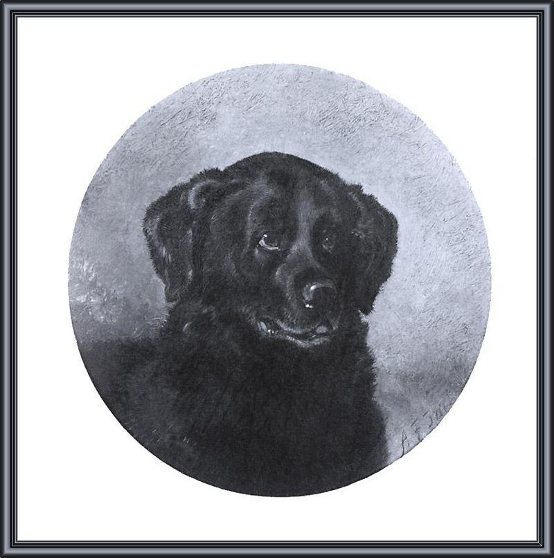 ksw-arthur fitzwilliam tait-portrait of a black labrador-1860.jpg