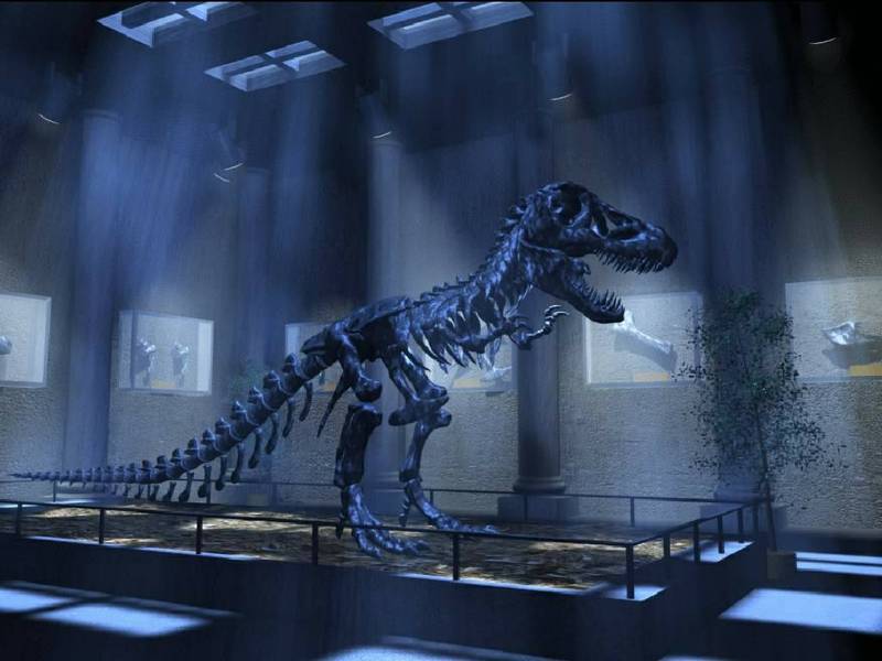 wall-09-Tyrannosaurus rex-dinosaur skeleton.jpg