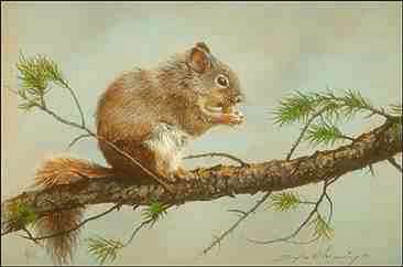 Ekorre-Eurasian Red Squirrel-on tree-painting.jpg