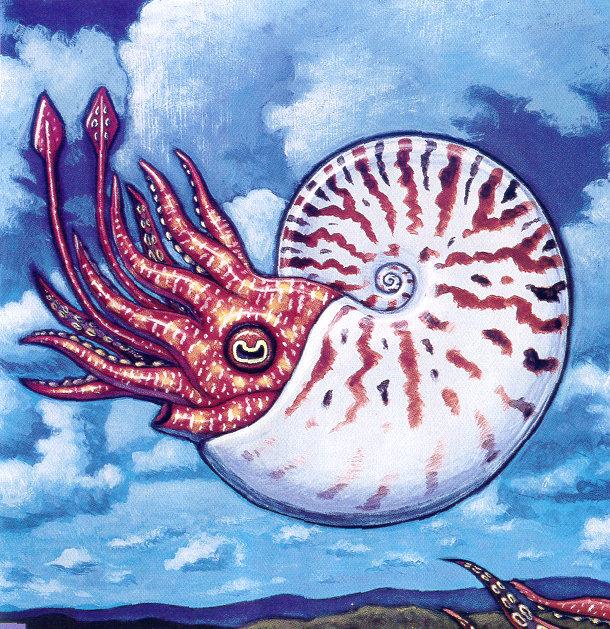 lj Ray Troll Giant Ammonite.jpg