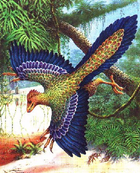 Extinct Bird-Archaeopteryx.jpg