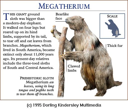 DKMMNature-Megatherium-Giant Ground Sloth.gif