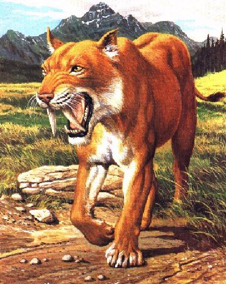 Extinct Cat-Saber-Toothed Tiger.jpg