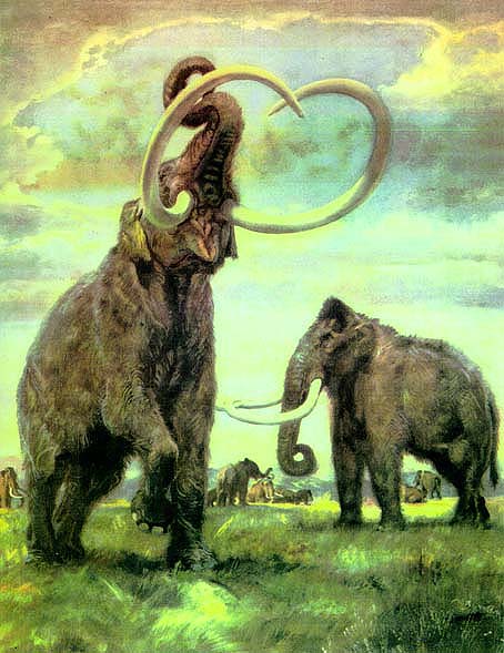 Archidiskodon meridionalis vestinus-Mammoths-Herd.jpg