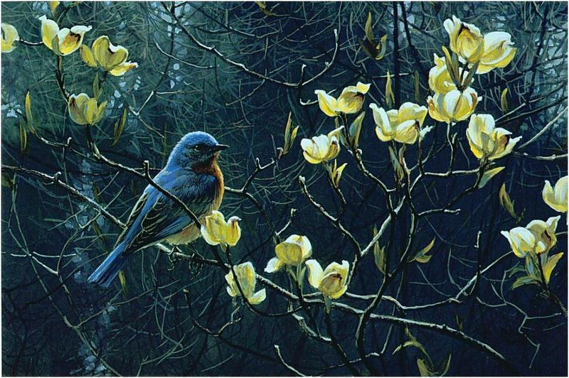 Bateman - Bluebird and Blossoms 1990 zw.jpg