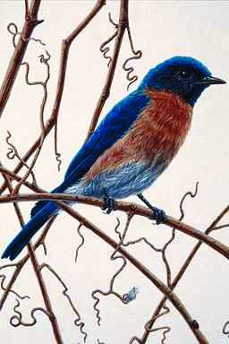 Bird Painting-Bluebird-perching on tree.jpg