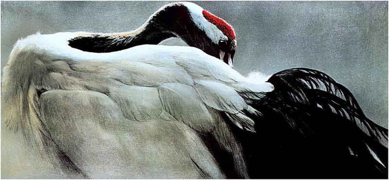 Bateman - Ceremonial Pose-Red-crowned Crane 1991 zw.jpg