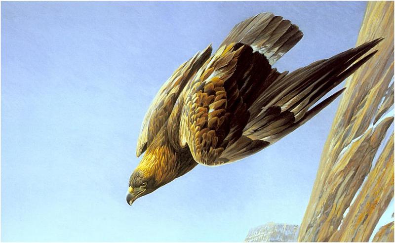 Bateman - Golden Eagle 1979 zw.jpg