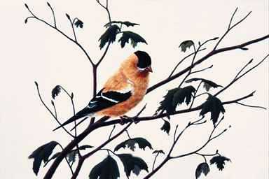 Bird Painting-American Goldfinch-perching on tree.jpg