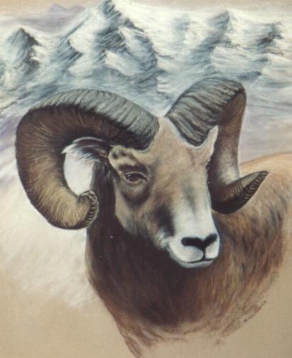 Painting-Bighorn Sheep-Ram-Portrait.jpg