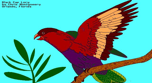 bird059-Black-capped Lory-clipart.gif