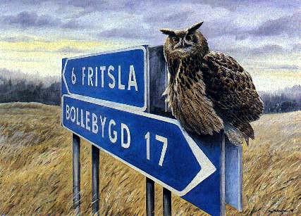 Swedish Bird Painting-Uv-Long-eared Owl.jpg