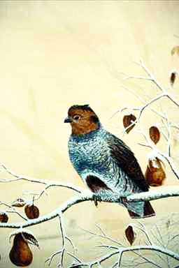 Bird Painting-Partridge-perhing on tree.jpg