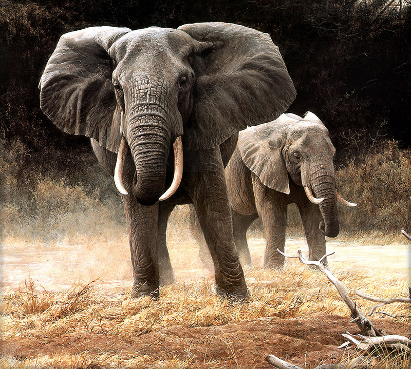 P005 Elephant.jpg