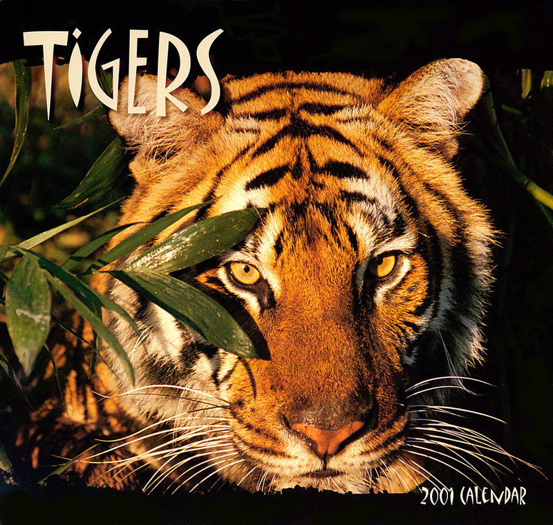 p-Tigers Cal2001 Front.jpg