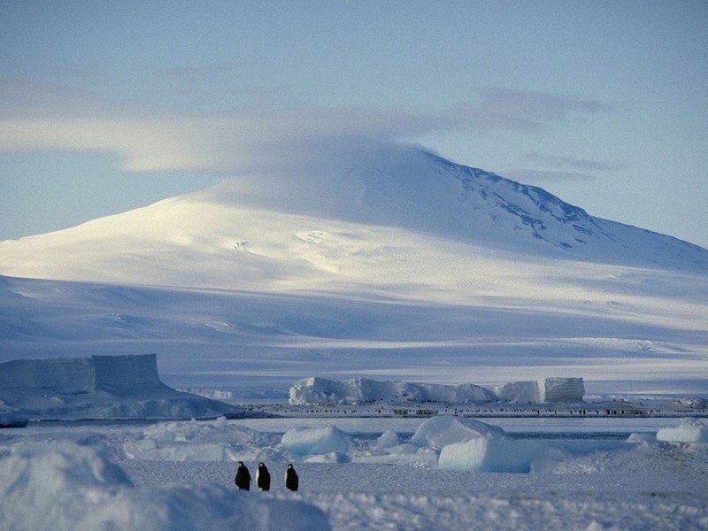 DOT Antarctica 06.jpg