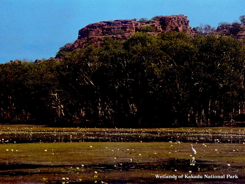 DOT Aus Kakadu National Park 01.jpg
