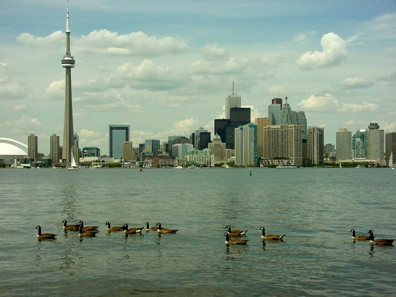DOT Cityscapes 02 Toronto 05.jpg