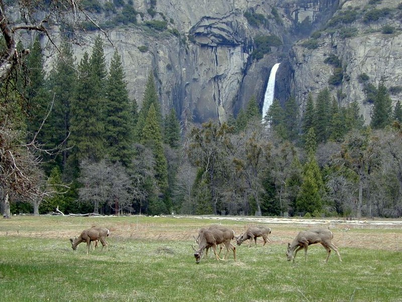DOT California II Yosemite 01.jpg