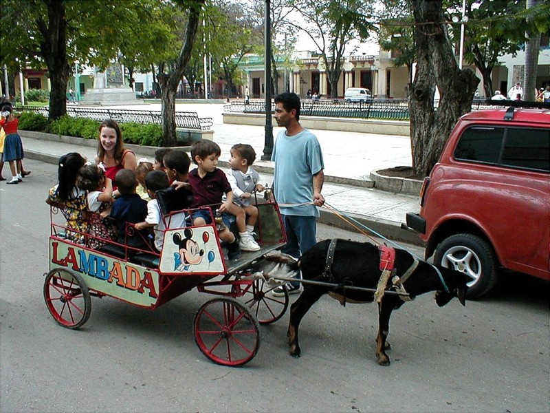 DOT Cuba II Goat Cart 2.jpg