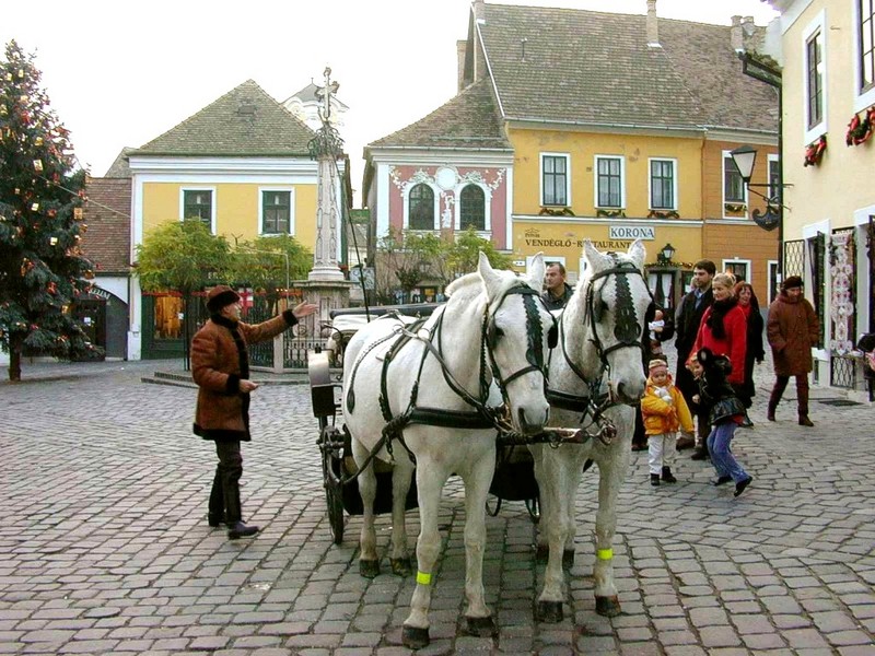 DOT Hungary Szentendre 07.jpg