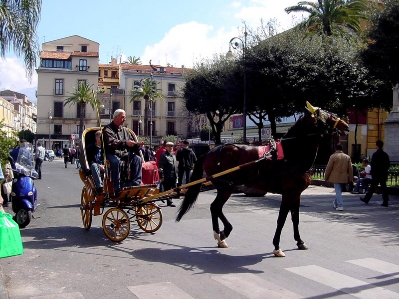 DOT Italy IV Sorrento Horse Cab.jpg