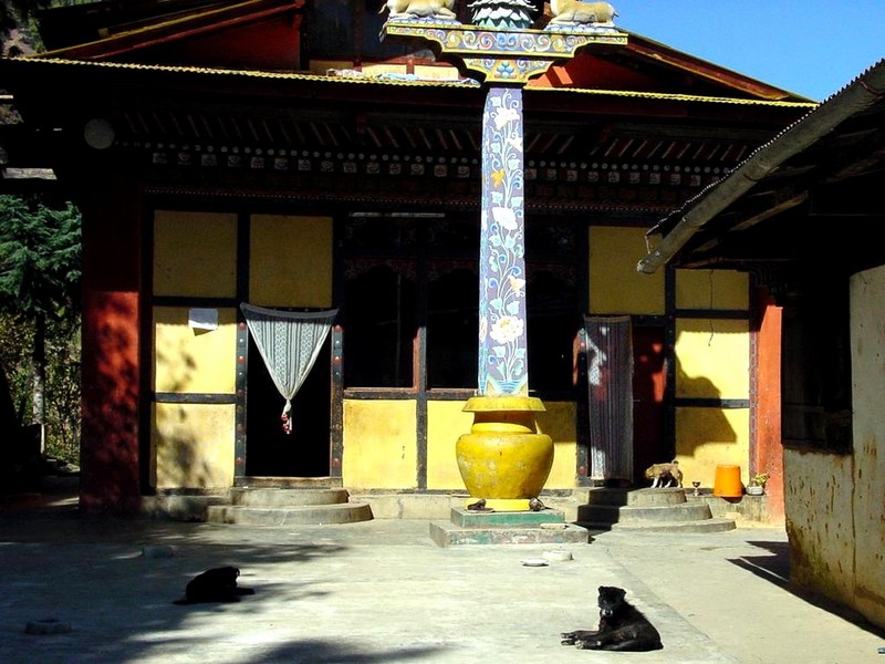 DOT Bhutan Drubthob Goemba Monastery.jpg