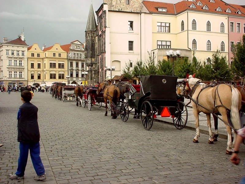 DOT Czechia Prague Tourist Coaches.jpg