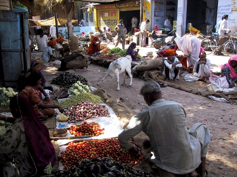 DOT India Bundi Market 3.jpg