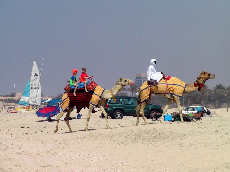 DOT UAE Dubai Beach Life 1.jpg