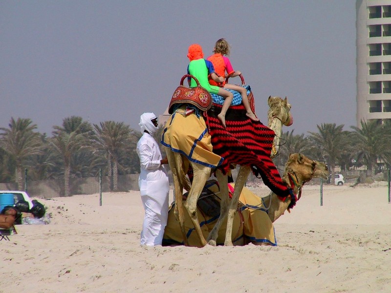 DOT UAE Dubai Beach Life 2.jpg