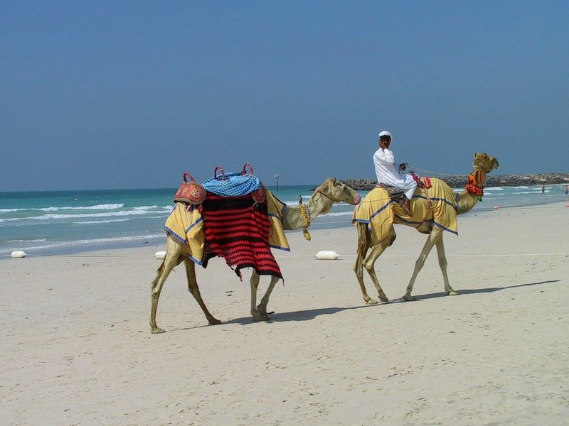 DOT UAE Dubai Beach Life 3.jpg
