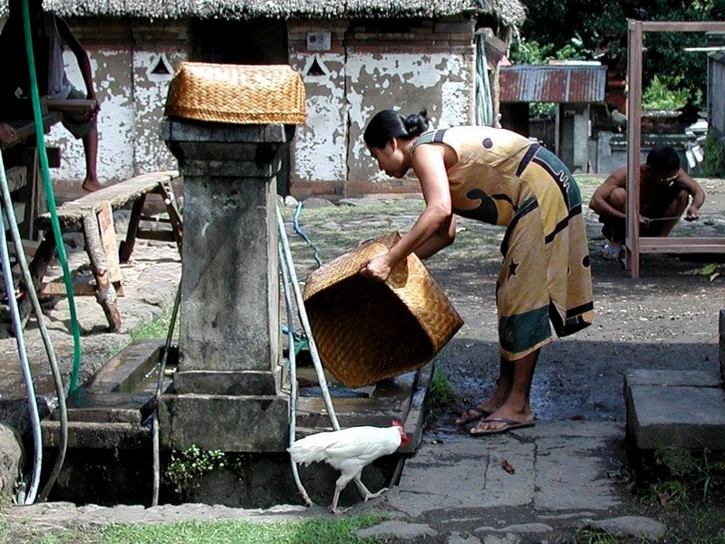 DOT Indonesia III Bali Tenganan Traditional Village 3.jpg