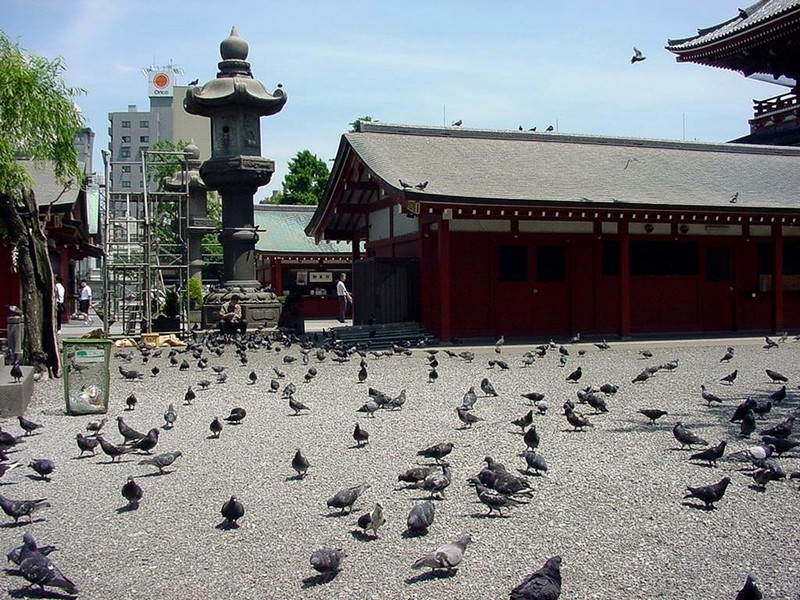 DOT Japan II Tokyo Asakusa Temple 06.jpg