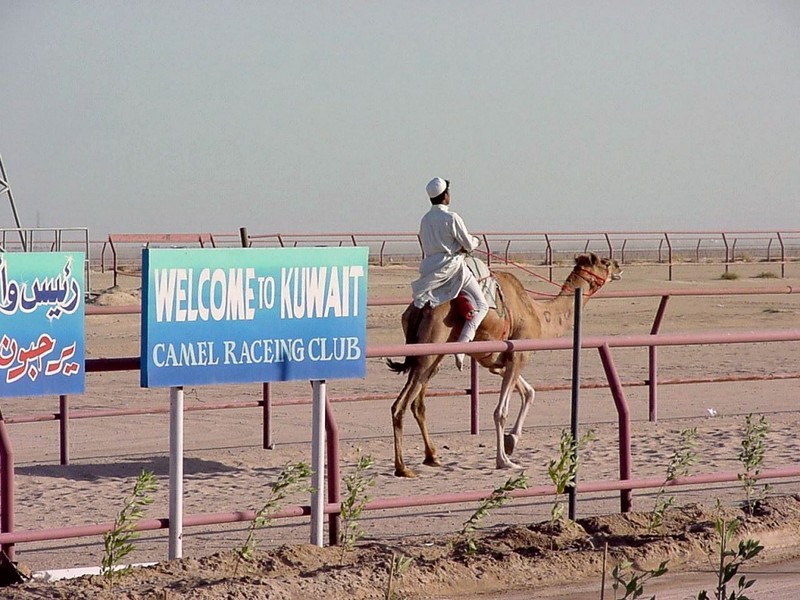 DOT Kuwait City 019.jpg