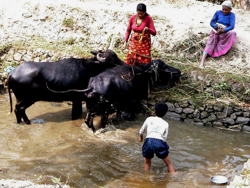 DOT Nepal Nagarkot 12.jpg