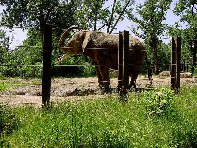 DOT Missouri Kansas City Swope Park Zoo 03.jpg