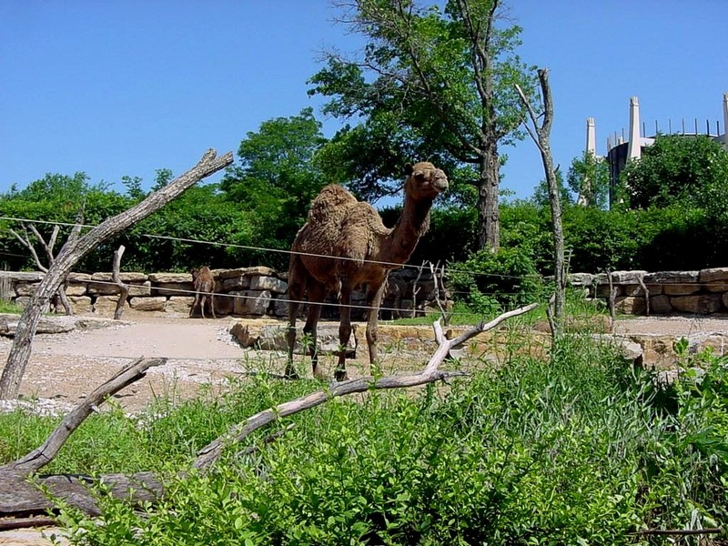 DOT Missouri Kansas City Swope Park Zoo 05.jpg