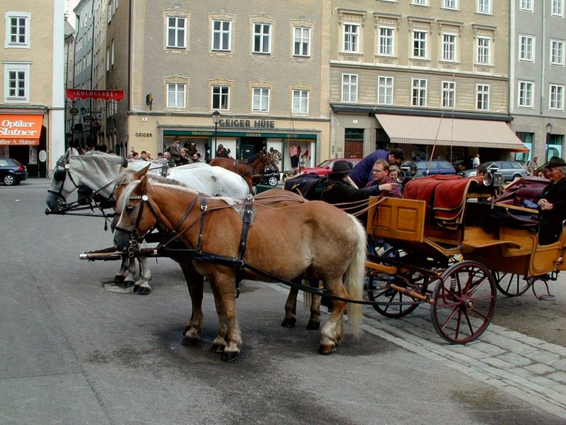 DOT Austria II Salzburg Salzburg City 07.jpg